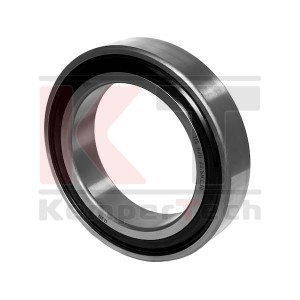 ŁOŻYSKO US 020 2S.SH.C30 FKL