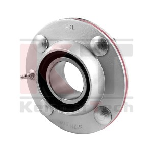 ZESPÓŁ ŁOŻYSKOWY GWST 211 PPB20